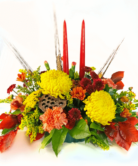 Fall Petal Power
