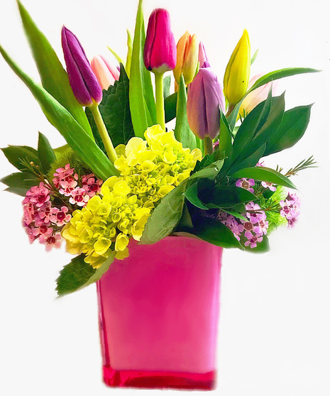 Spring Tulips