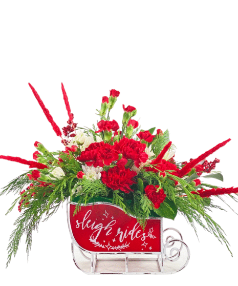 Winter Sleigh Ride
